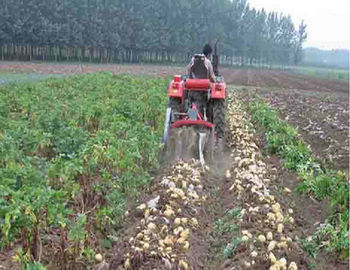 中国 2 列の小さい農業機械の小規模の農機具 サプライヤー